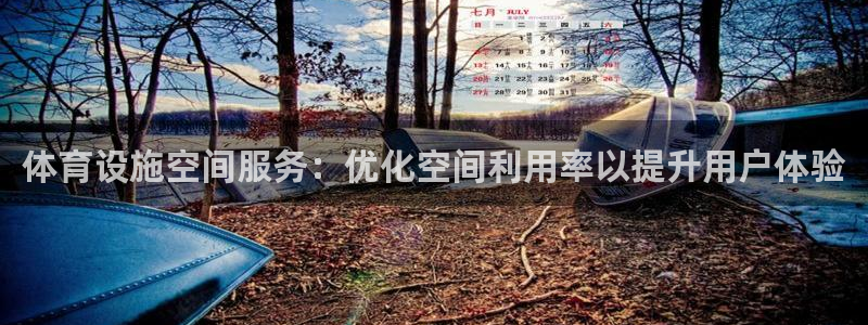 意昂体育3平台注册：体育设施空间服务：优化空间利用率
