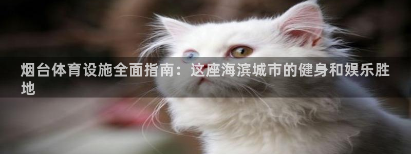 意昂3科技：烟台体育设施全面指南：这座海滨城市的健身