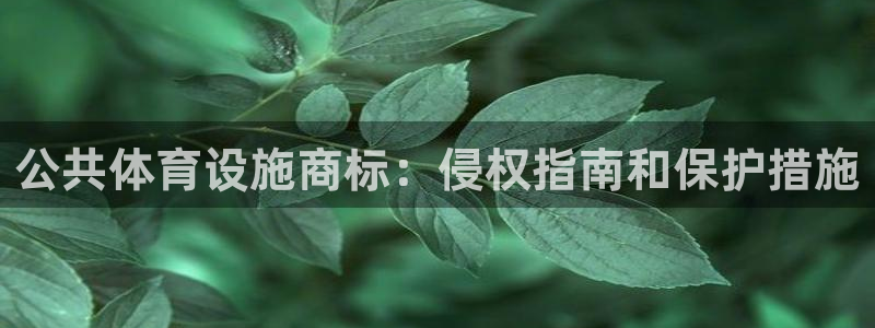 德国意昂3集团：公共体育设施商标：侵权指南和保护措施