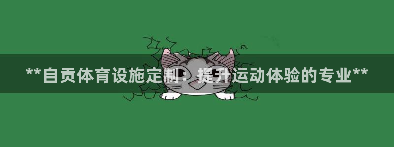 意昂体育3招商电话地址：**自贡体育设施定制：提升运