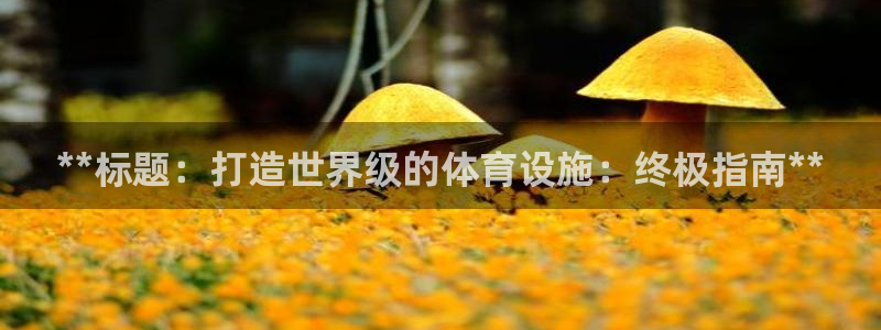 意昂体育3注册：**标题：打造世界级的体育设施：终极