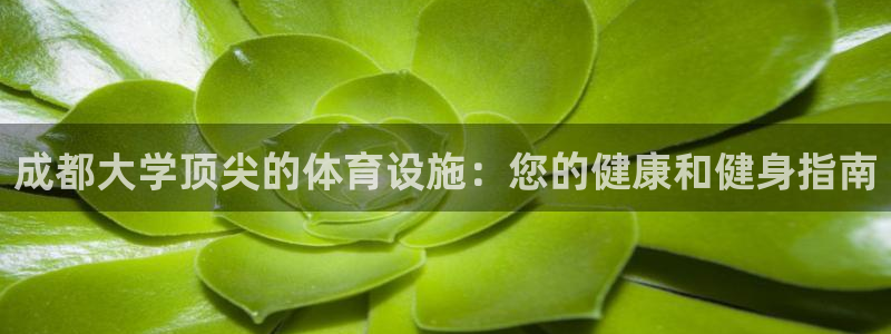 意昂3官方：成都大学顶尖的体育设施：您的健康和健身指