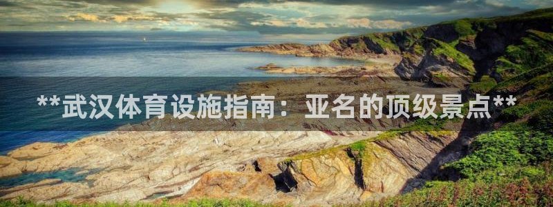 意昂3娱乐代理怎么样：**武汉体育设施指南：亚名的顶