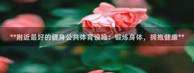 意昂体育3招商：**附近最好的健身公共体育设施：锻炼