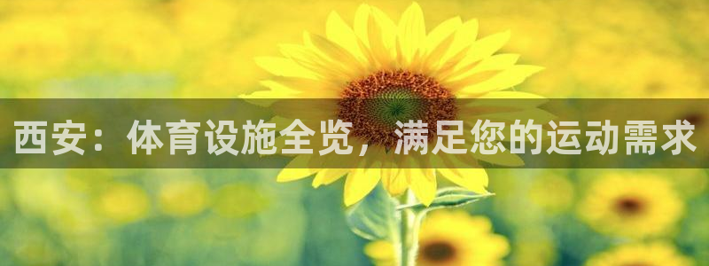 意昂体育3平台是正规平台吗：西安：体育设施全览，满足