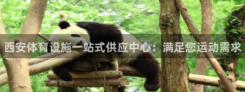 意昂3集团官网网址：西安体育设施一站式供应中心：满足