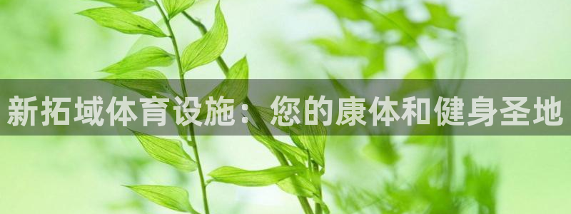 意昂体育3平台APP：新拓域体育设施：您的康体和健身