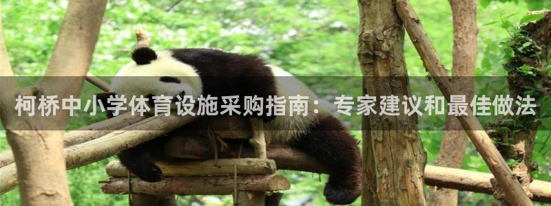 意昂体育3招商电话：柯桥中小学体育设施采购指南：专家