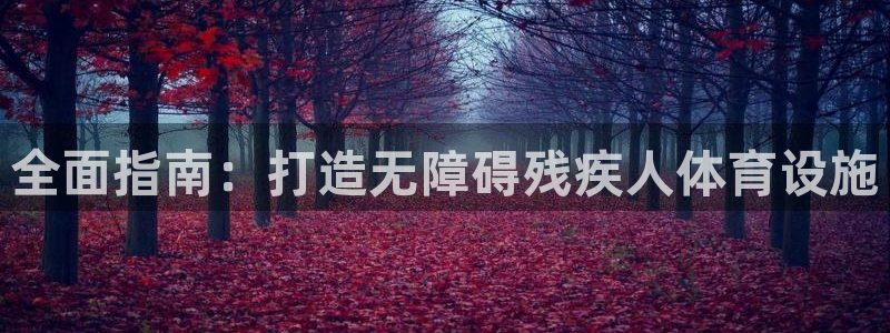 意昂体育3注册：全面指南：打造无障碍残疾人体育设施