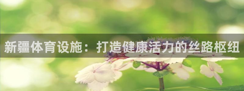 意昂3娱乐40996：新疆体育设施：打造健康活力的丝