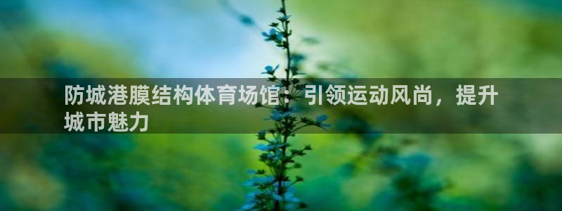 意昂体育3招商：防城港膜结构体育场馆：引领运动风尚，