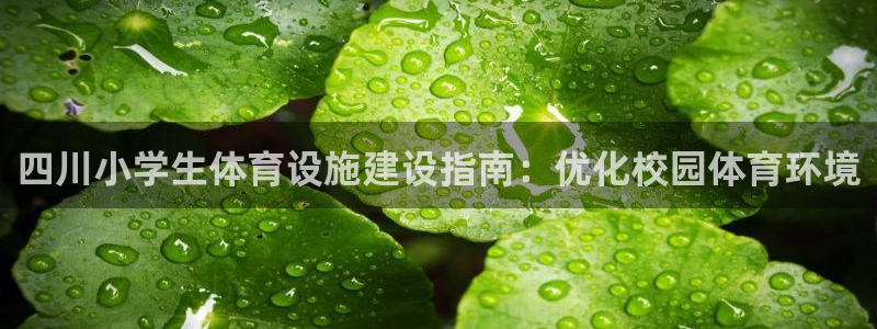 意昂3开户：四川小学生体育设施建设指南：优化校园体育