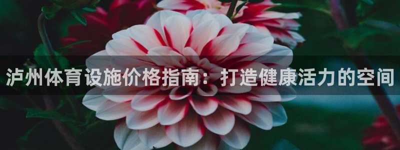 海南意昂体育3：泸州体育设施价格指南：打造健康活力的