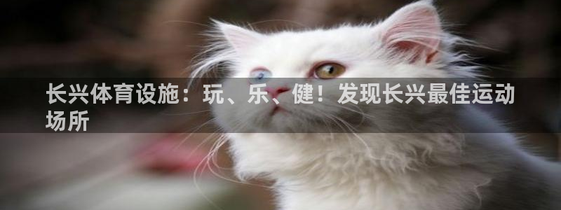 意昂体育3平台是正规平台吗安全吗：长兴体育设施：玩、