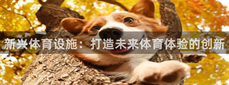 意昂3娱乐是那个系列的台子：新兴体育设施：打造未来体