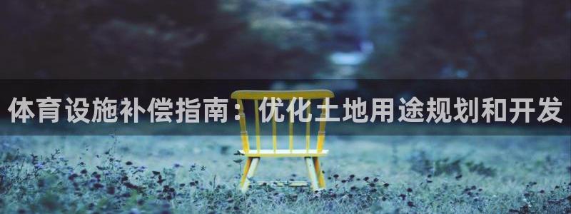 意昂体育3软件：体育设施补偿指南：优化土地用途规划和