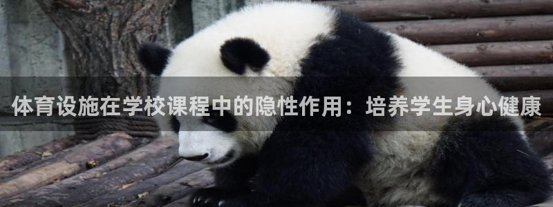 意昂3娱乐是那个系列的台子：体育设施在学校课程中的隐