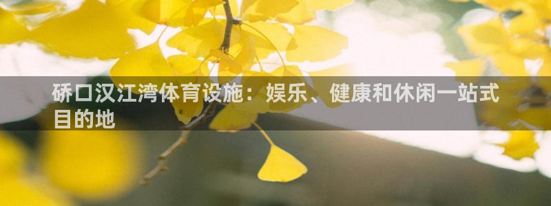 意昂体育3平台注册：硚口汉江湾体育设施：娱乐、健康和