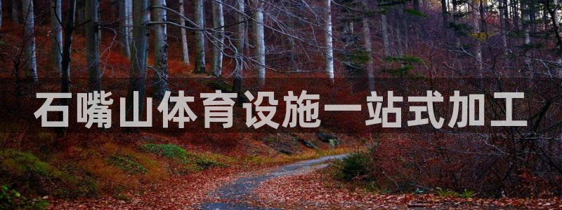 意昂体育3平台APP：石嘴山体育设施一站式加工