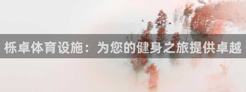 意昂体育3是干嘛的公司：栎卓体育设施：为您的健身之旅