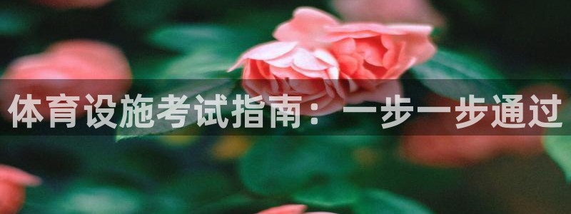 意昂3集团官网首页：体育设施考试指南：一步一步通过