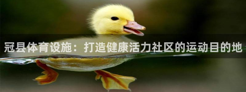 意昂体育3招商：冠县体育设施：打造健康活力社区的运动