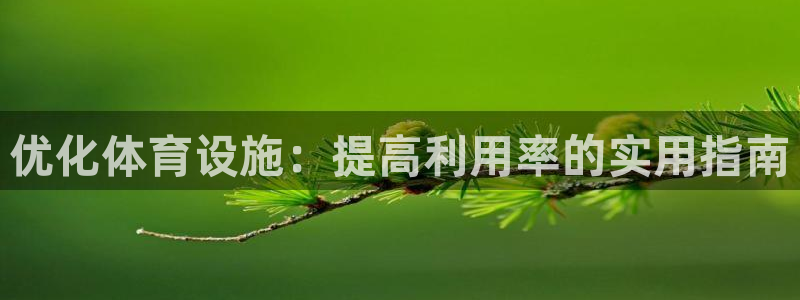 意昂体育3平台：优化体育设施：提高利用率的实用指南
