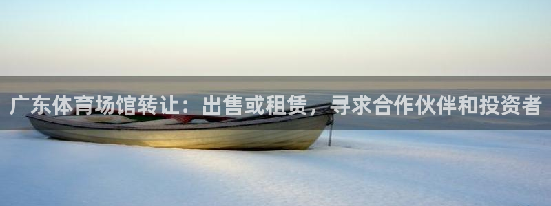意昂体育3是干嘛的公司：广东体育场馆转让：出售或租赁