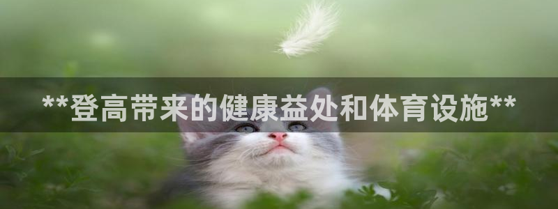 意昂3五金厂：**登高带来的健康益处和体育设施**