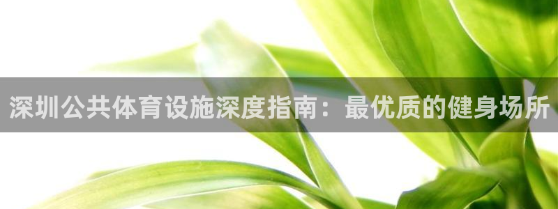 意昂体育3：深圳公共体育设施深度指南：最优质的健身场