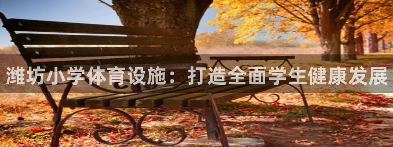 意昂体育3平台注册流程视频：潍坊小学体育设施：打造全