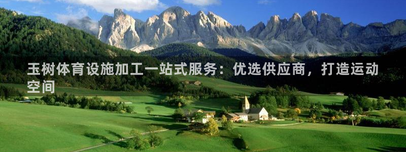 意昂体育3：玉树体育设施加工一站式服务：优选供应商，