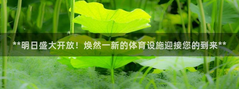 意昂体育3招商电话号码是多少：**明日盛大开放！焕然