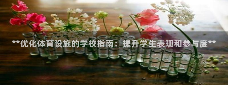 意昂体育3平台注册要钱吗：**优化体育设施的学校指南