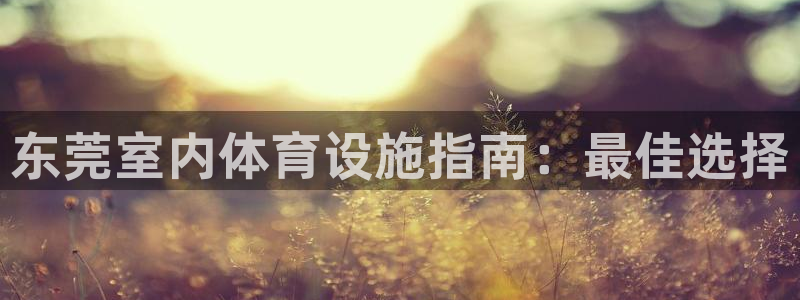意昂平台体育：东莞室内体育设施指南：最佳选择