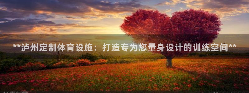 意昂体育3招商电话地址：**泸州定制体育设施：打造专