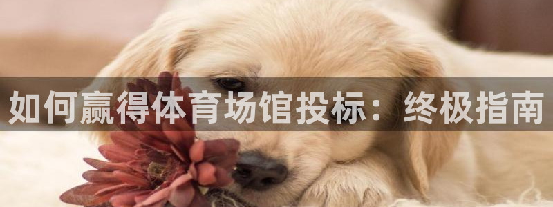 意昂3娱乐代理怎么样：如何赢得体育场馆投标：终极指南