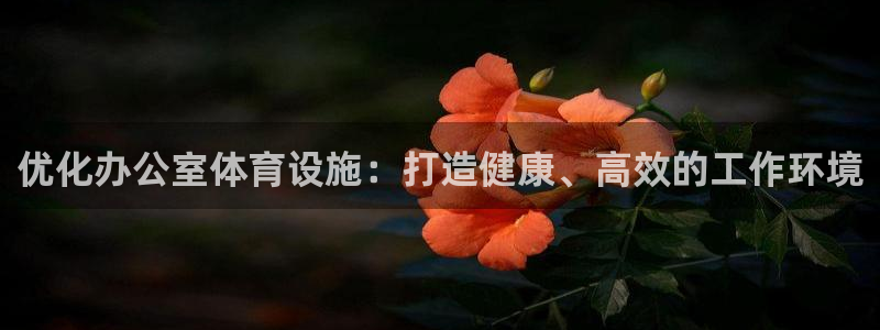 意昂体育3招商电话号码：优化办公室体育设施：打造健康