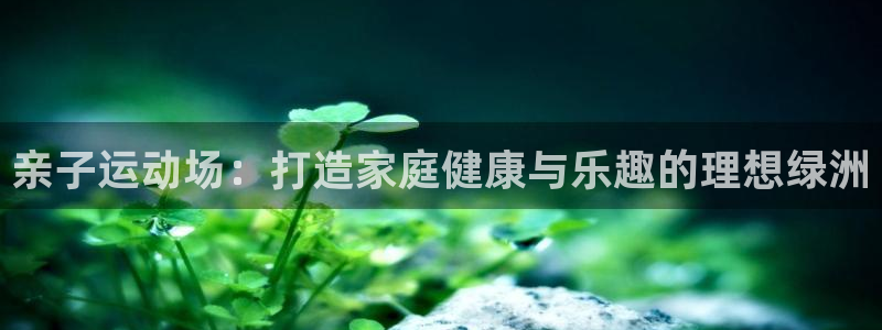 意昂3五金厂：亲子运动场：打造家庭健康与乐趣的理想绿