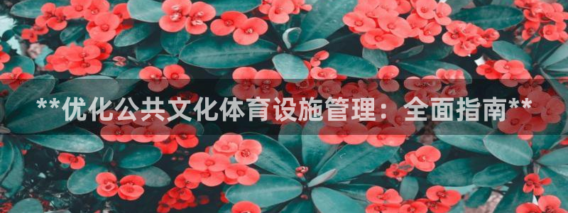 意昂3娱乐：**优化公共文化体育设施管理：全面指南*