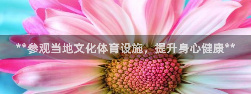 意昂体育3平台注册：**参观当地文化体育设施，提升身