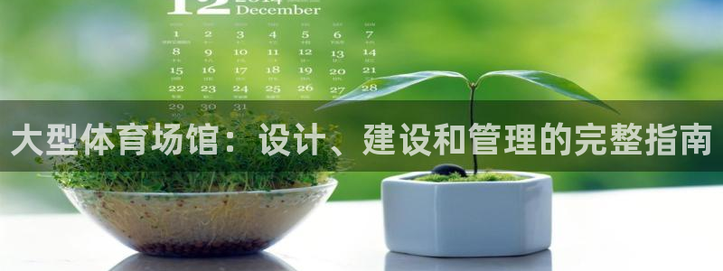 意昂3娱乐下载：大型体育场馆：设计、建设和管理的完整