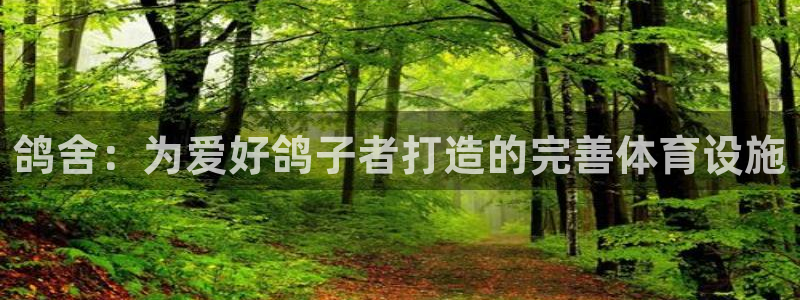 意昂体育3招商电话地址查询：鸽舍：为爱好鸽子者打造的