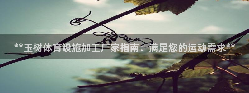 意昂3娱乐下载