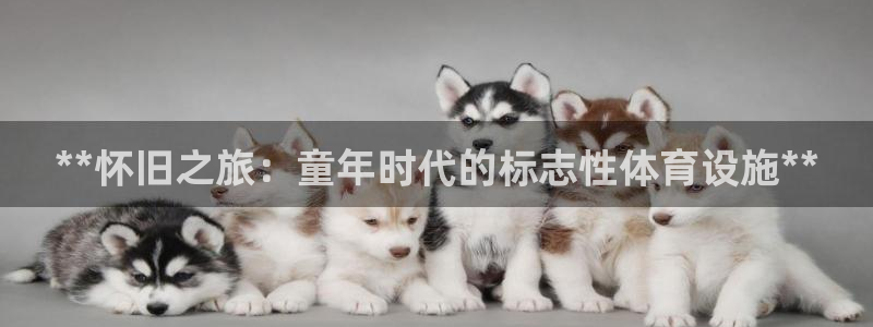 意昂体育3平台注册要钱吗安全吗：**怀旧之旅：童年时