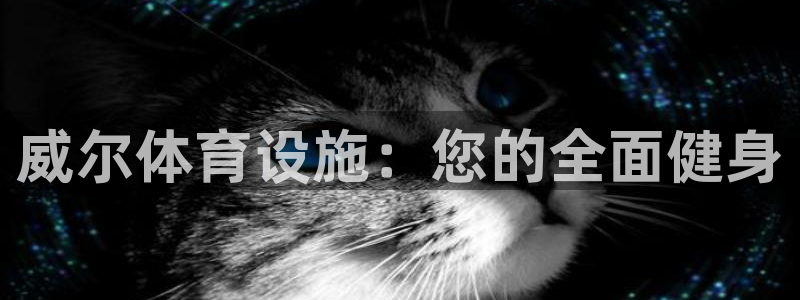 德国意昂3集团：威尔体育设施：您的全面健身