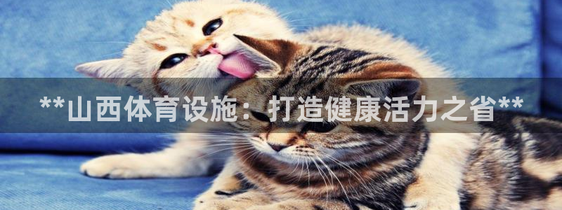 注册意昂3：**山西体育设施：打造健康活力之省**