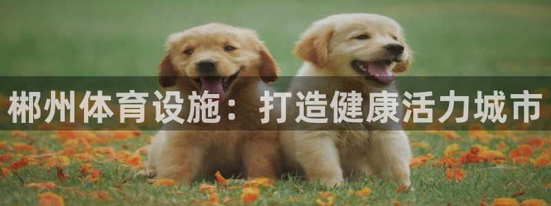 意昂体育3招商电话号码查询是多少：郴州体育设施：打造