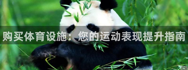 意昂3集团：购买体育设施：您的运动表现提升指南