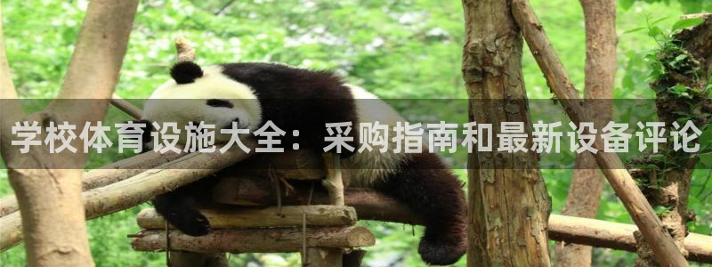意昂3娱乐是那个系列的台子：学校体育设施大全：采购指